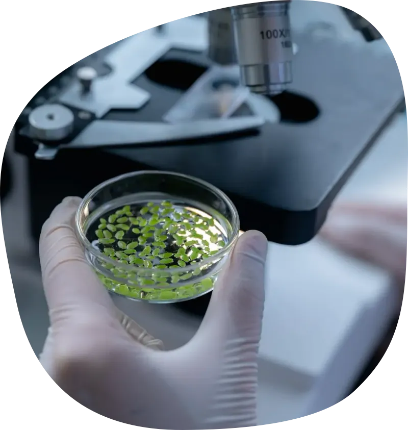 Our Programs - Bio Sustainer